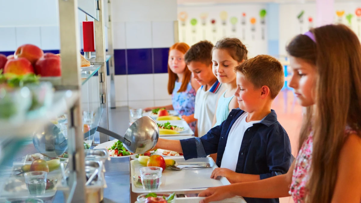 Impôts & Cantine scolaire : jusqu'à 470€ récupérables que 90% des parents ignorent